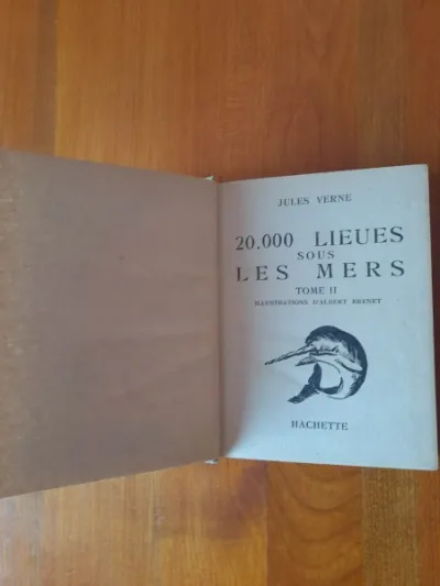 Livre les enfants du capitaine grant - tome ii - photo 2