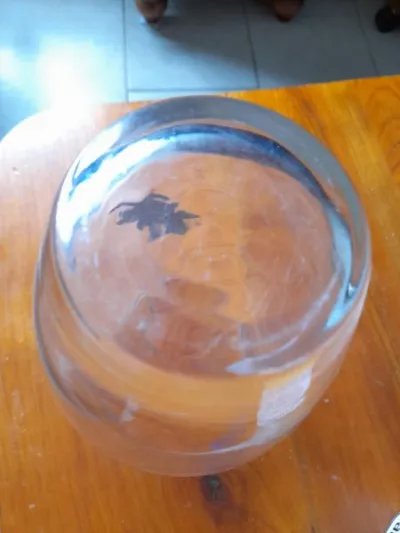 Vase en verre - décoration florale - rose en etain - Décoration - Saint-Satur (18300)