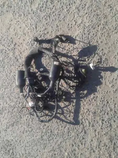 Faisceau éléctrique triumph 900 tiger 1998 - photo 4