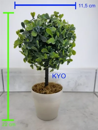 Petit arbre buis rond, hauteur 22cm diamètre 11cm - Décoration - Foncine-le-Haut (39460)