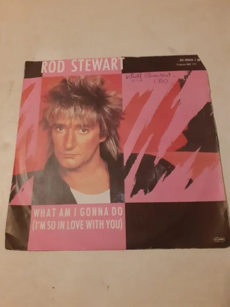 45 t "rod stewart" - CD, DVD & Vinyles - Saint-Satur (18300)