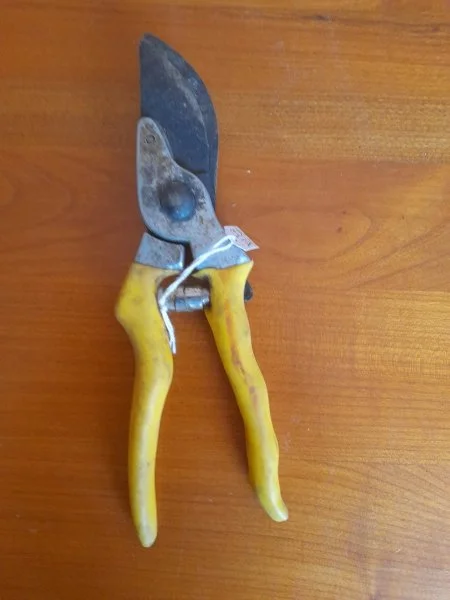 Ancien sécateur en métal et manche plastifié - Collection - Saint-Satur (18300)