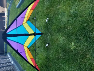 2 cerfs volants - photo 3