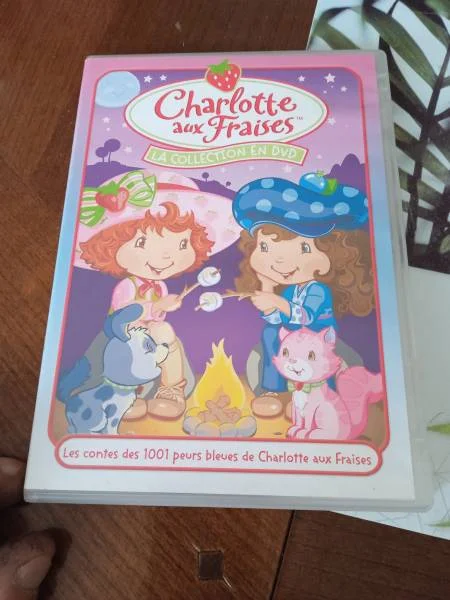Dvd " charlotte aux fraises " - CD, DVD & Vinyles - Saint-Satur (18300)