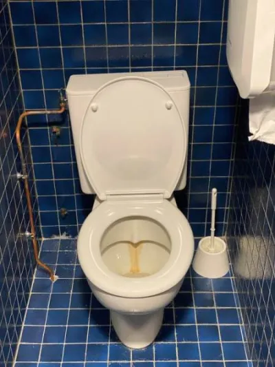 Vasques et wc d'occasion - photo 4