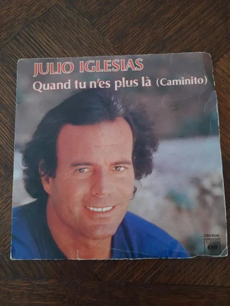 45 t "julio iglesias" - CD, DVD & Vinyles - Saint-Satur (18300)