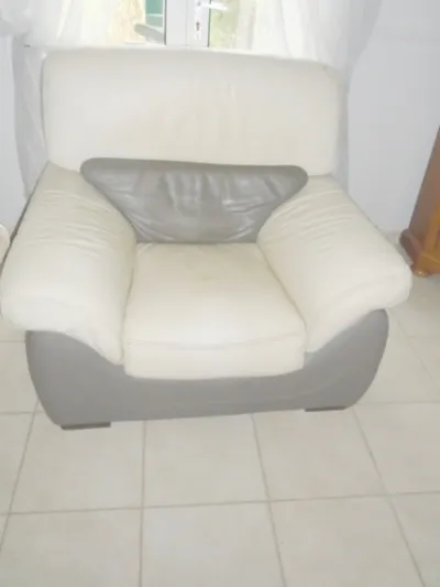 Fauteuil "château d' ax" cuir beige et taupe - Meubles - Apremont (85220)