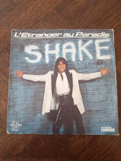 45 t "shake" - CD, DVD & Vinyles - Saint-Satur (18300)