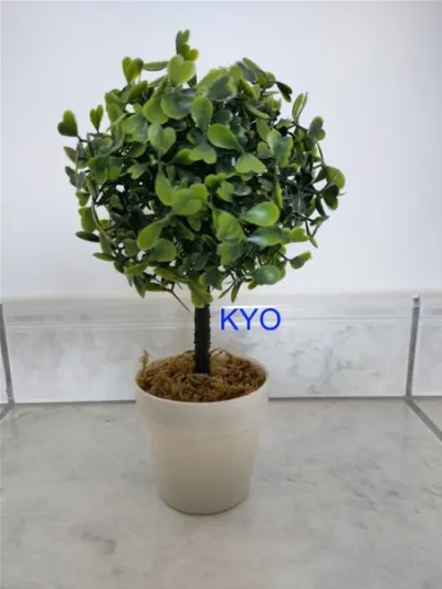 Petit arbre buis rond, hauteur 22cm diamètre 11cm - photo 2