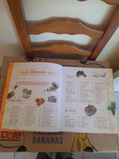 Cuisine des nos régions - périgord et quercy - Livres - Saint-Satur (18300)