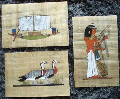 Lot de 3 beaux petits papyrus - photo 3