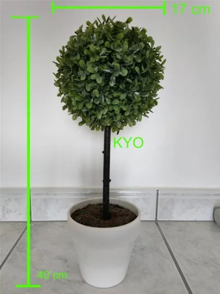 Arbre buis rond, hauteur 40 cm diamètre 17 cm - Décoration - Foncine-le-Haut (39460)