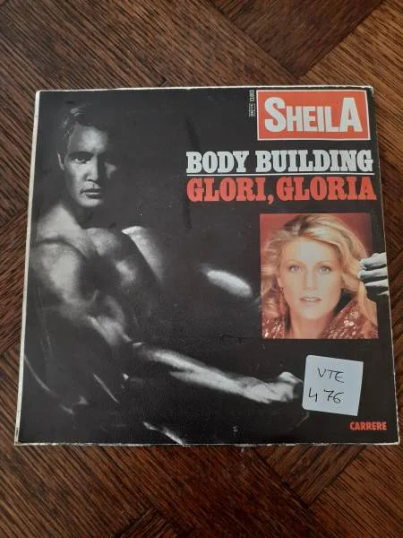 45 t "sheila" - CD, DVD & Vinyles - Saint-Satur (18300)