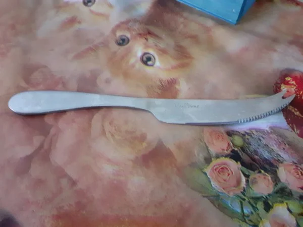 Couteau à fromage le vieux pané - Collection - Saint-Satur (18300)