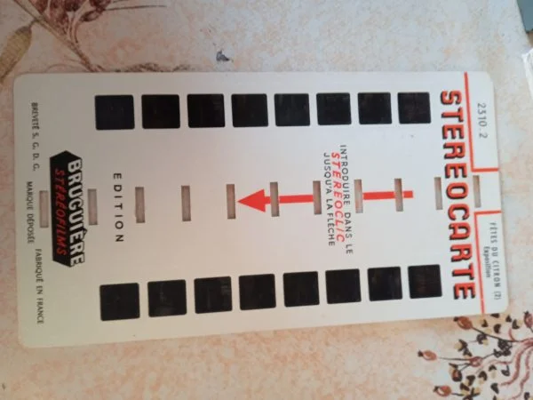 Stéréocarte 2310.2 fete du citron (2) - Collection - Saint-Satur (18300)