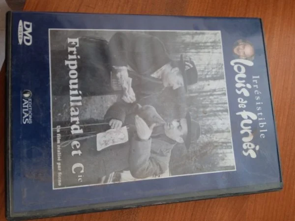 Dvd "fripouillard &amp; cie" - CD, DVD & Vinyles - Saint-Satur (18300)