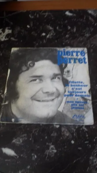 45 t pierre perret - CD, DVD & Vinyles - Saint-Satur (18300)