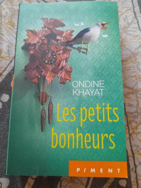 Les petits bonheurs - ondine khayat - Livres - Saint-Satur (18300)
