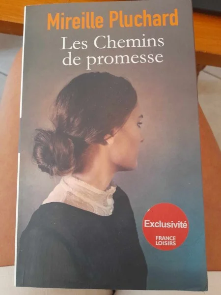 Les chemins de promesse - mireille pluchard - Livres - Saint-Satur (18300)