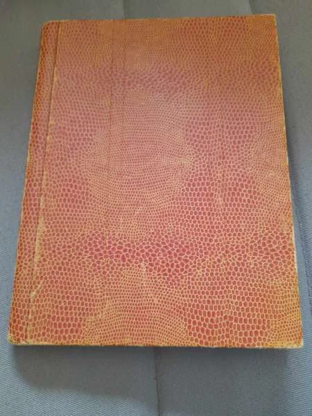 Album de 153 timbres oblitérés - Collection - Saint-Satur (18300)