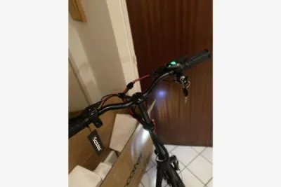 Draisienne électrique 500w. - Vélos