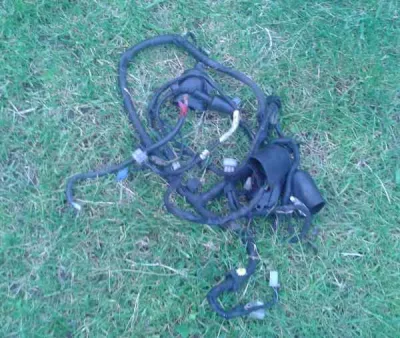 Circuit éléctrique yamaha 850 tdm 1994 - photo 2