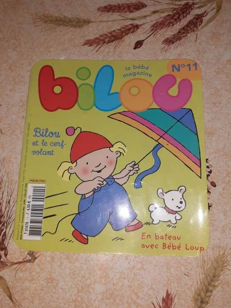 Le bébé magazine " bilou et le cerf volant" n°11 - Livres - Saint-Satur (18300)