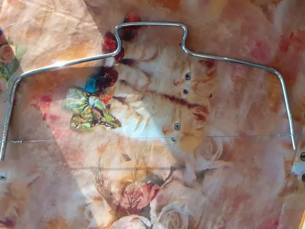 Fils à fois gras - Collection - Saint-Satur (18300)