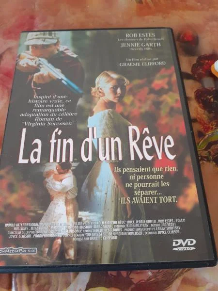 Dvd la fin d'un rève - CD, DVD & Vinyles - Saint-Satur (18300)