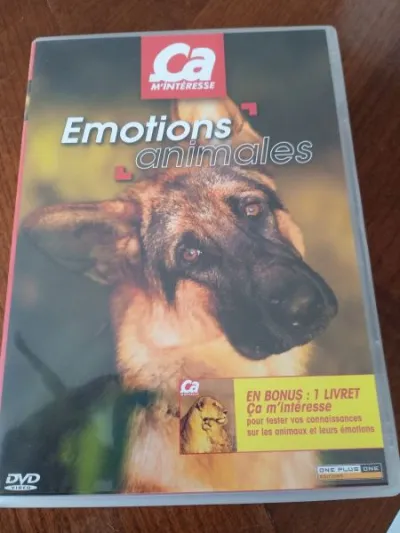 Dvd "ca m'intéresse " - CD, DVD & Vinyles - Saint-Satur (18300)