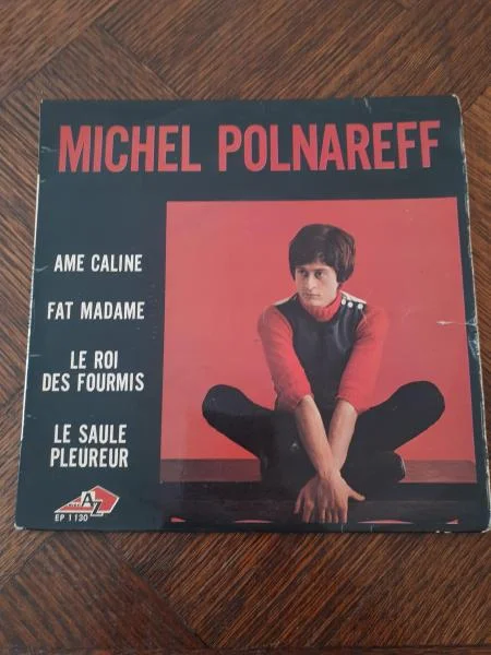 45 t "michel polnareff" - CD, DVD & Vinyles - Saint-Satur (18300)