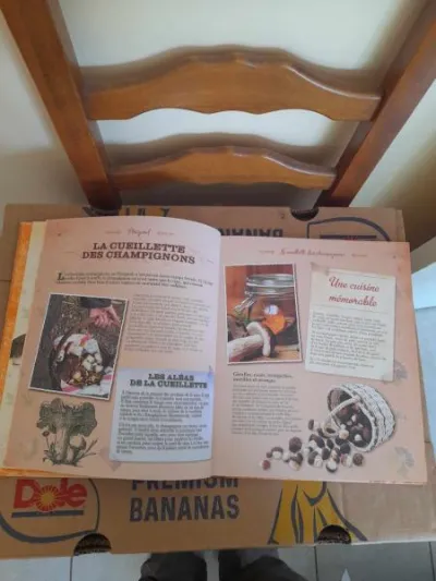 Cuisine des nos régions - périgord et quercy - photo 2