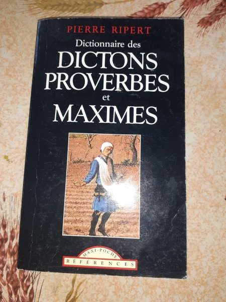 Dictionnaire des dictons,proverbes et maximes - Livres - Saint-Satur (18300)