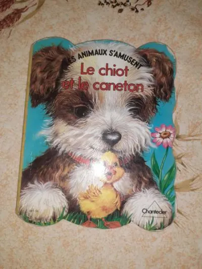 Le chiot et le canneton - Livres - Saint-Satur (18300)