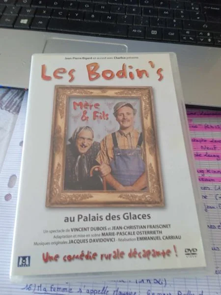 Dvd " les bodin's " - CD, DVD & Vinyles - Saint-Satur (18300)