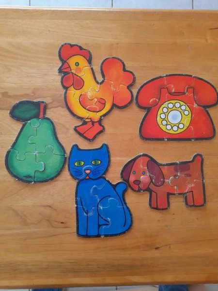 Lot 5 mini puzzles divers - Jeux & Jouets - Saint-Satur (18300)
