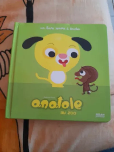 Anatole - livre sonore à toucher - déborah pinto - Livres - Saint-Satur (18300)
