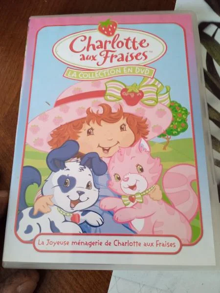Dvd " charlotte aux fraises " - CD, DVD & Vinyles - Saint-Satur (18300)