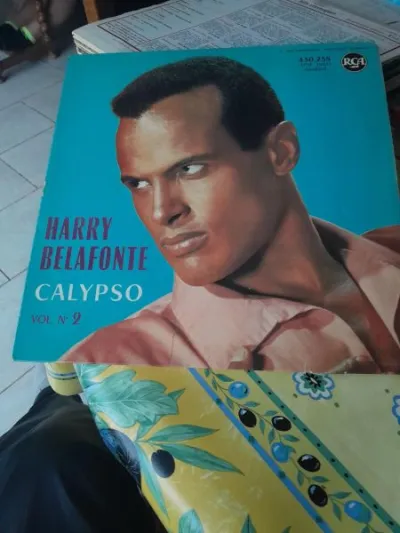 33 t " harry belafonte " - CD, DVD & Vinyles - Saint-Satur (18300)