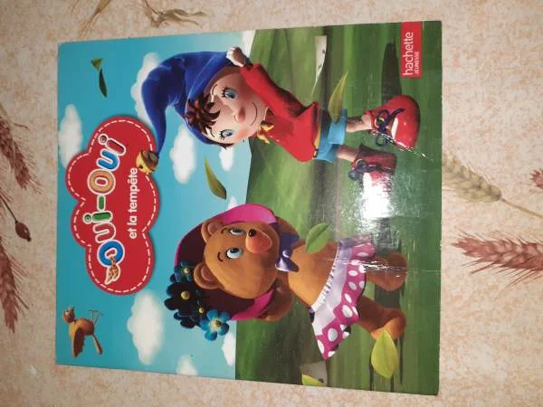 Livre oui oui et la tempéte - Livres - Saint-Satur (18300)