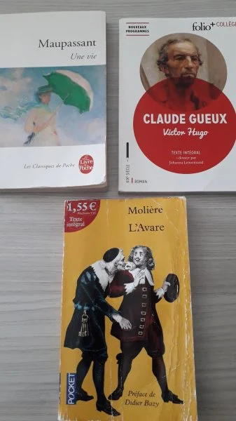 Lot de livres - Livres - Auchy-les-Mines (62138)