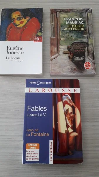 Lot de livres - Livres - Auchy-les-Mines (62138)