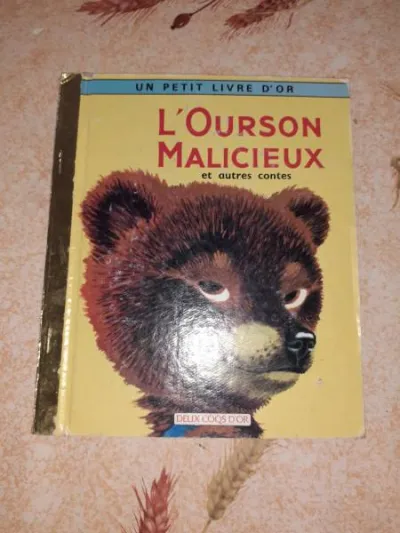 L'ourson malicieux et autres contes - Livres - Saint-Satur (18300)