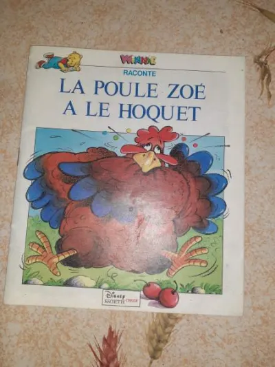 Winnie raconte " la poule zoé à le hoquet" - Livres - Saint-Satur (18300)
