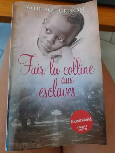 Fuir la colline aux esclaves - kathleen grissom - Livres - Saint-Satur (18300)