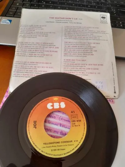 45t " joe dassin " - CD, DVD & Vinyles - Saint-Satur (18300)