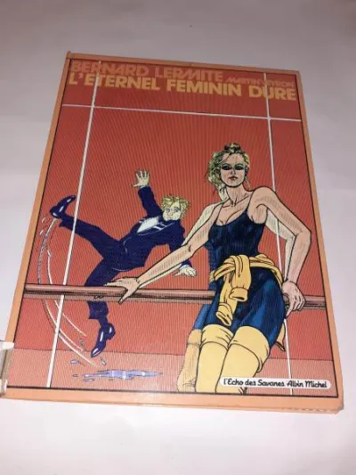 Bd l'éternel féminin dure - Livres - Saint-Satur (18300)
