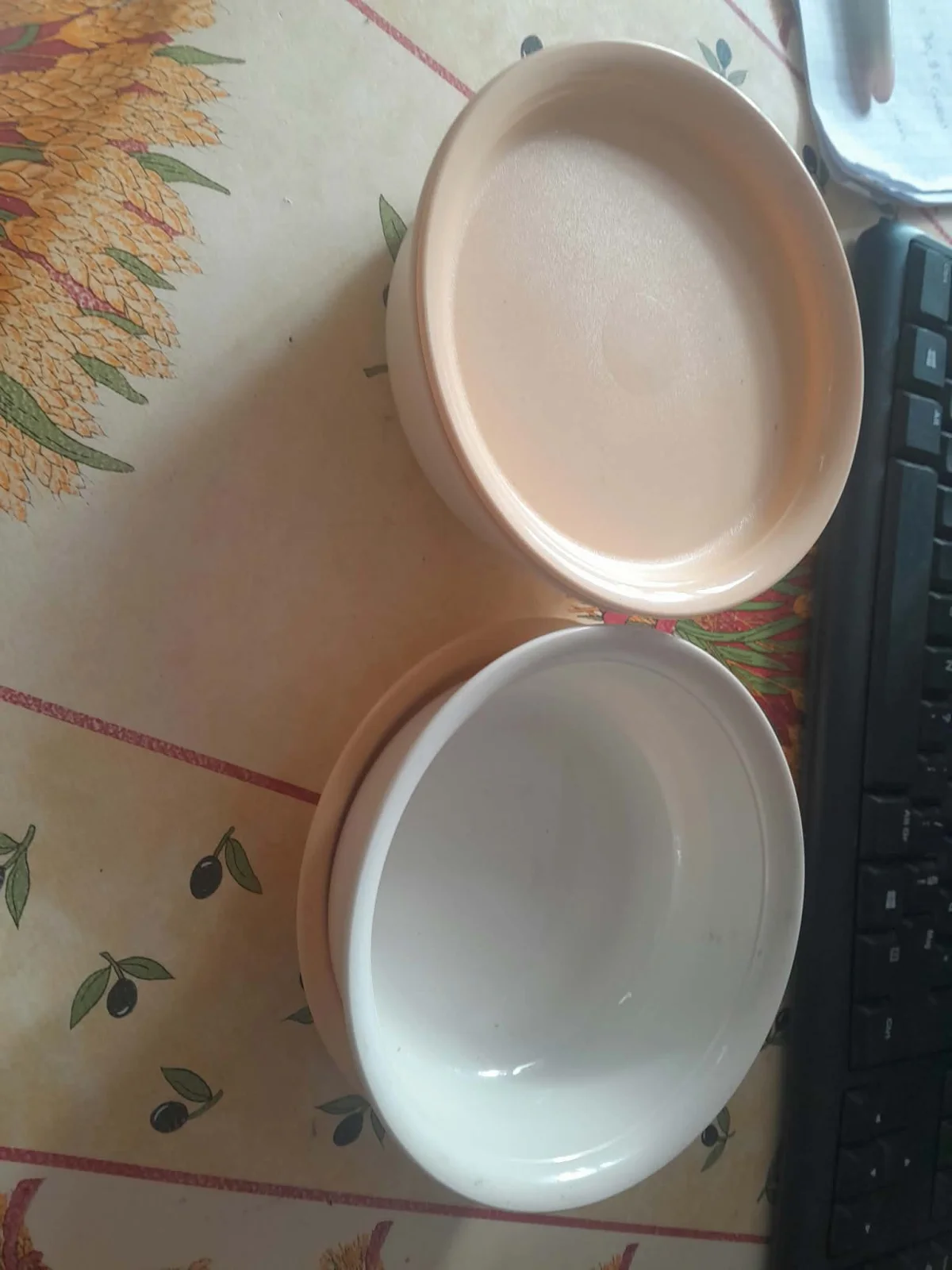 TUPPERWARE 2 Ramequins / boites de conservation - Arts de la Table - Saint-Satur (18300)