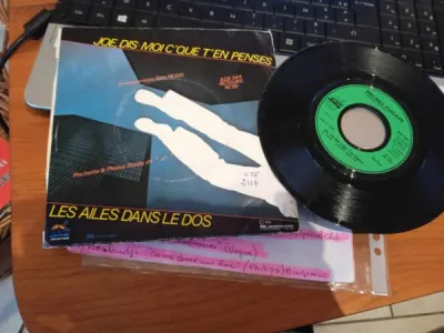 45t " michel fugain " - photo 2