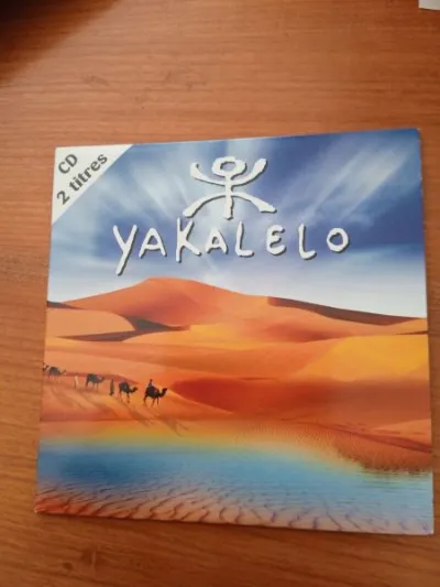 Cd " nomad" - CD, DVD & Vinyles - Saint-Satur (18300)